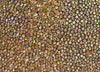 Patterned 1.5