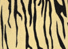 Patterned 2