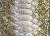 Gold, Silver Stripe Python